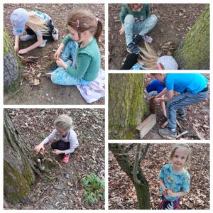 celorocni-projekt-duben-5.jpg