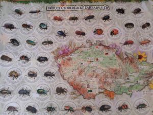 20200918_154722-scaled.jpg