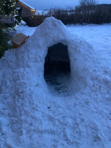 iglu_Alex-Kraus-scaled.jpg