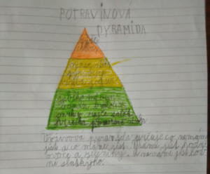 pyramida.png