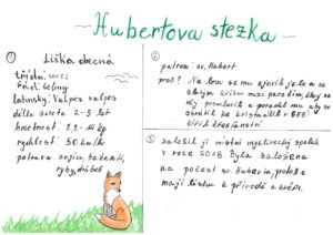 Hubertova-stezka-I.-1.jpg