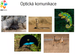 Obrázek1.png