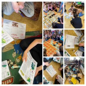 IMG_3681-COLLAGE.jpg