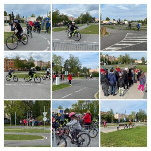 IMG_3883-COLLAGE.jpg