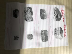 IMG_2945-rotated.jpeg
