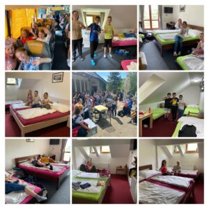 IMG_4607-COLLAGE.jpg