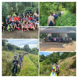 IMG_5044-COLLAGE.jpg