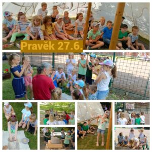 Kolaz-pravek.jpg