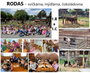 Rodas-.jpg
