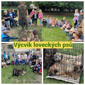 Vycvik-psu-kolaz.jpg