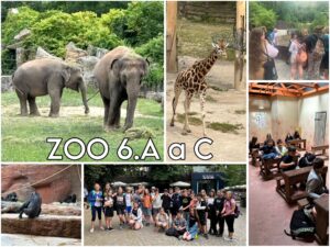 ZOO-1.jpg