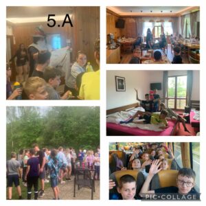 activitymore-5DB3D5AA-05B2-4453-96B0-B3918CA43D42-1.jpg