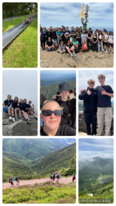 collage-2.png