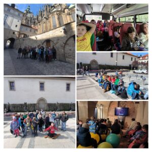 IMG_20250411_093838-COLLAGE.jpg