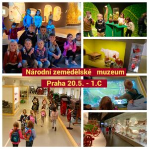 1.C-NZM.jpg