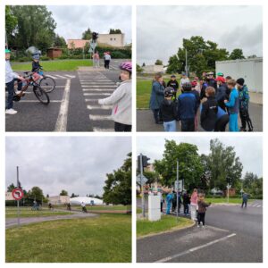 IMG_20250522_084348-COLLAGE.jpg