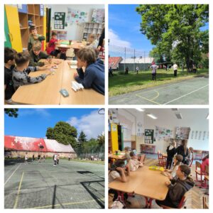 IMG_20250530_084508-COLLAGE.jpg