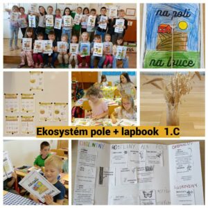 Pole-lapbook.jpg