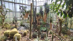 Botanicka_liberec.jpg