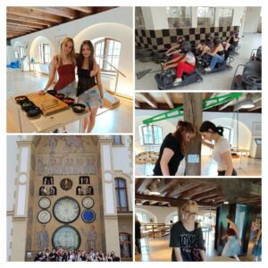 IMG_20250605_110113-COLLAGE.jpg