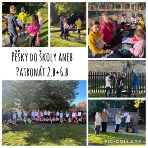 4.-patronat.jpeg