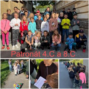 8C_zari_patronat.jpg