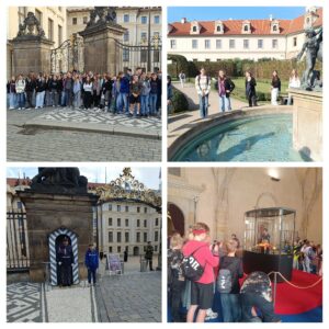 IMG_20250917_090749-COLLAGE.jpg