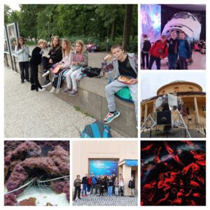 IMG_20250924_091523-COLLAGE.jpg