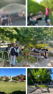 BB6DF6DB-46EA-4B63-805F-50E429BD5ACE-COLLAGE.jpg