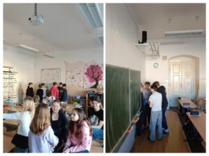 IMG_20260302_082054-COLLAGE.jpg